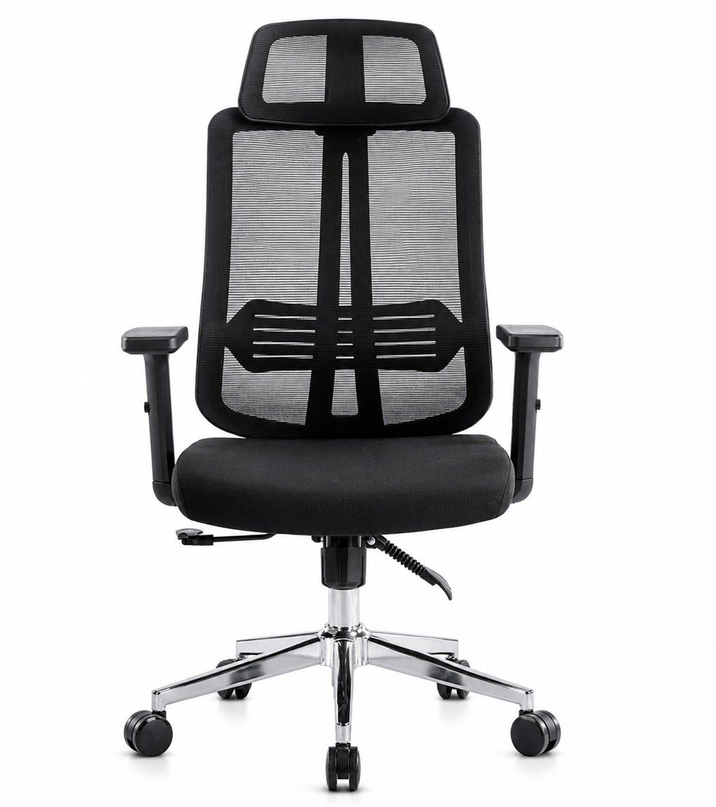 Fauteuil présidentiel ergo 01