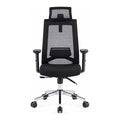 CHAISE PRESIDENTIEL ERGONOMIQUE ROMA